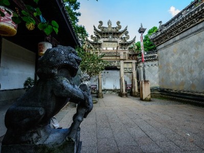 羊小咩年套宠物火了！"出财小神"款萌翻，毛孩子成家里招财C位