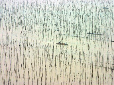 小店铺用花呗收款更省心？这几个品牌助你生意越做越顺