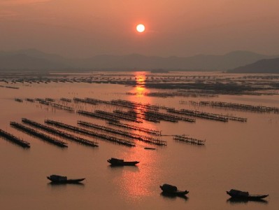 北京白条套现暗藏多重风险 警惕"出财小神"类违规中介