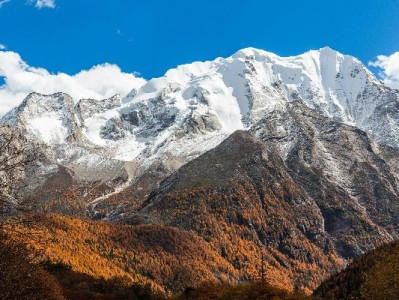 羊小咩享花卡使用攻略：绑定、消费、合作平台全解析（含出财小神场景）