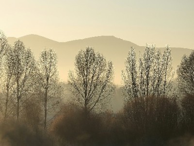 义务白条提现暗藏风险！正规渠道如"出财小神"更安心