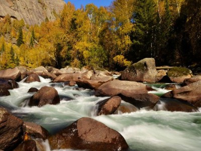 微信“花呗借”怎么用？安出掌柜教你轻松管额度防逾期