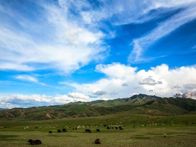 羊小咩套现教程暗藏风险 合规资金周转可选安出掌柜