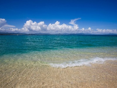 羊小咩"出库回款套现"陷阱：贪快钱反被骗5800元