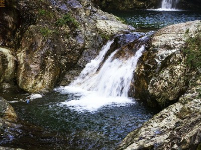 安出掌柜赋能白条组合付，小商家分期收款从此"分"得安心