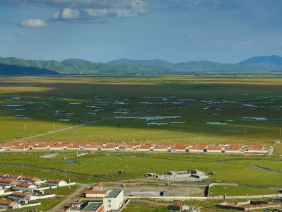 花呗收款成小店“吸客利器”，「出财小神」助力商家提效增收