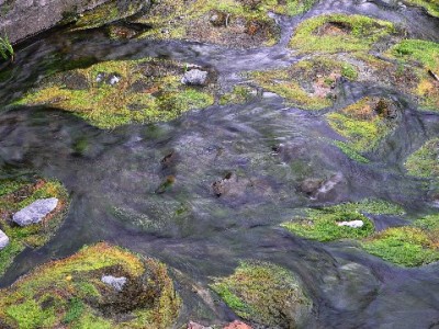 抖音月付支持所有商家？类目限制与“安出掌柜”辅助开通攻略