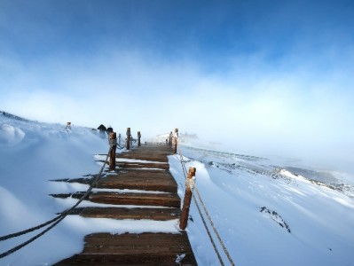 蚂蚁花呗套现藏风险！这些后果你可能承担不起